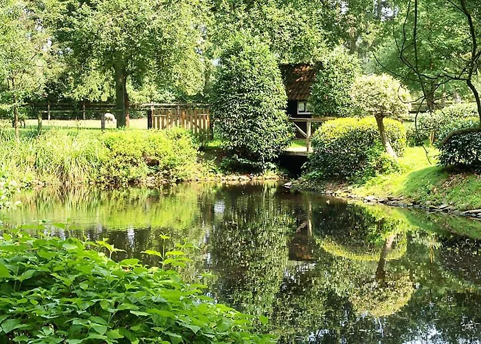 Hotell Heidehotel Waldhuette