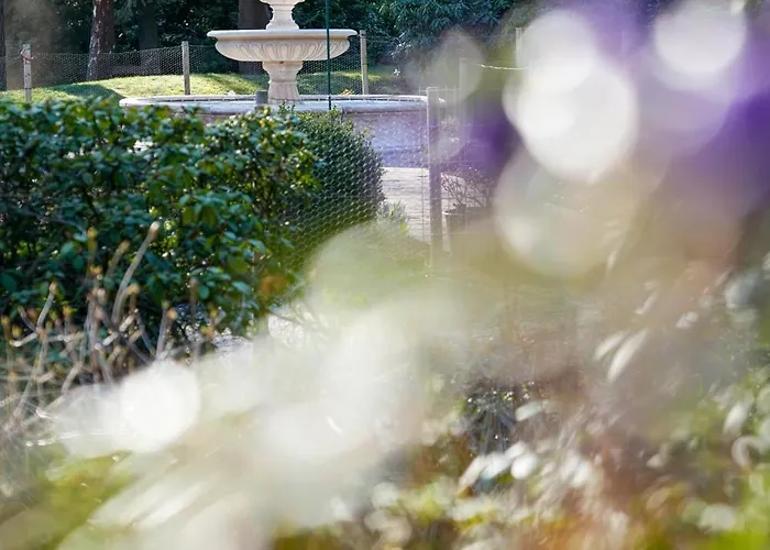 Heidehotel Waldhuette Otel